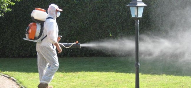 Disinfestazione zanzare: consigli per difendersi al meglio