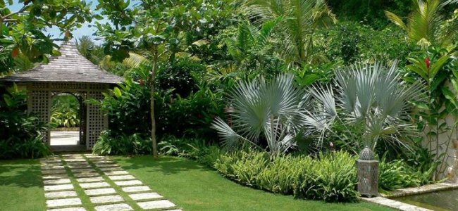 Progettazione giardini: i consigli per realizzare uno spazio verde perfetto