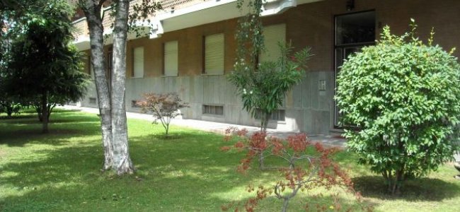 Giardino condominiale e manutenzione: a chi spetta sostenere le spese?